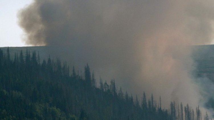 Борбата с пожарите в страната продължава. Снимка: БТА