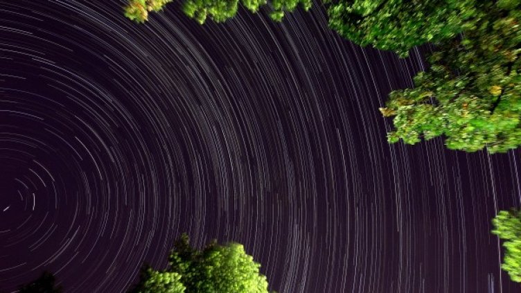 "Звездни пътеки" се виждат над блокове в Студентски град при комбинирано изображение (чрез наслагване на кадри). Снимка: БТА
 "Звездни пътеки" се виждат през клоните на дървета в парка при комбинирано изображение (чрез наслагване на кадри). Снимка: БТА