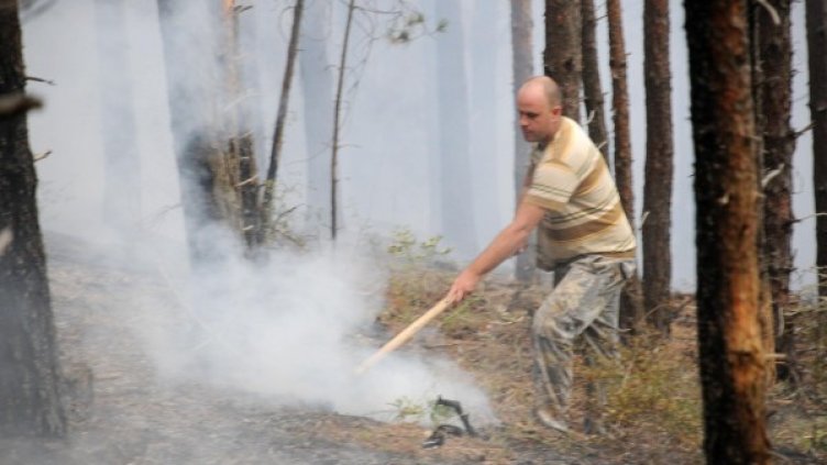 Изгорели са 100 декара иглолистна гора. Снимка: Булфото
