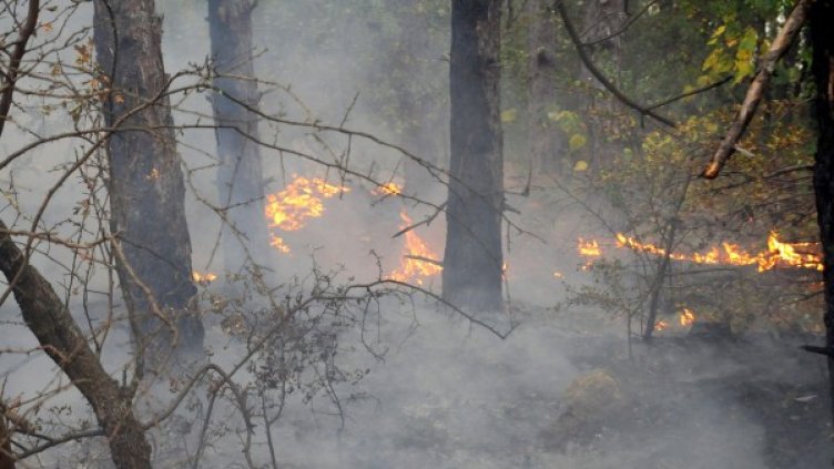 Пожарът в община Средец се наблюдава. Снимка: Булфото