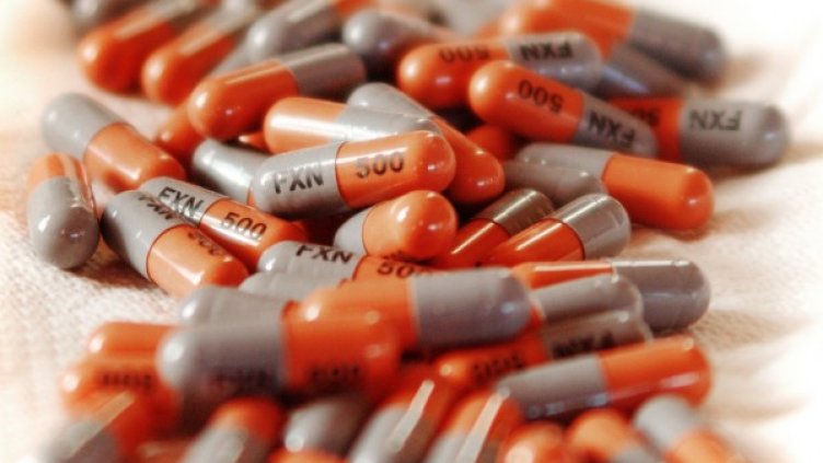 Снимка: Creative Commons