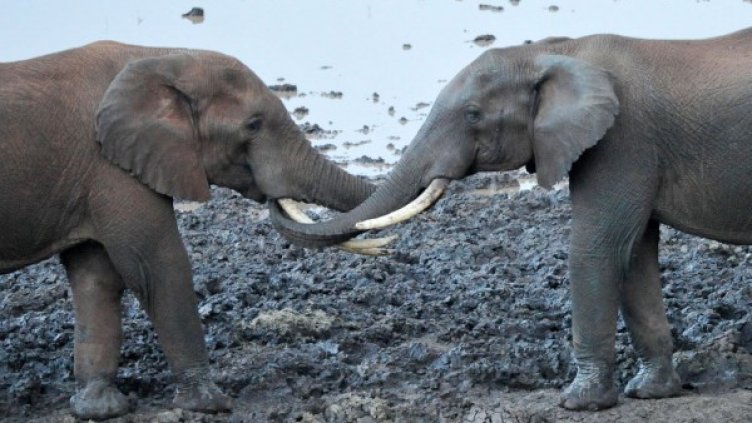 Денят в снимки