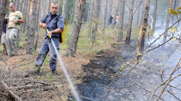 Снимка: архив Булфото