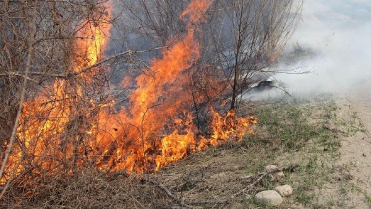 Пожарникар пострада при гасене на огън в сухи треви. Снимка: архив, Булфото
