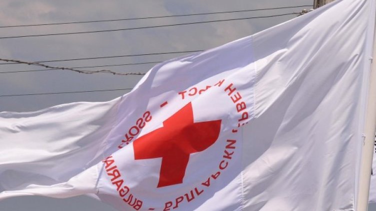 Снимка: Bulphoto