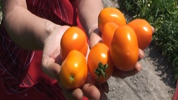 Снимка: Dnes.bg