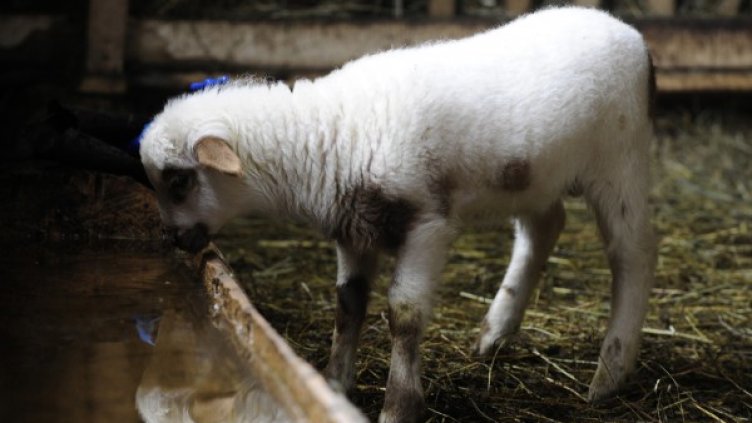 Снимка: Reuters