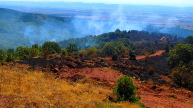 Обстановката в Благоевградско е спокойна. Снимка: Булфото