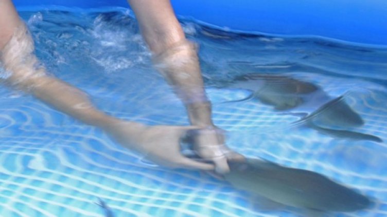 Снимка: Булфото