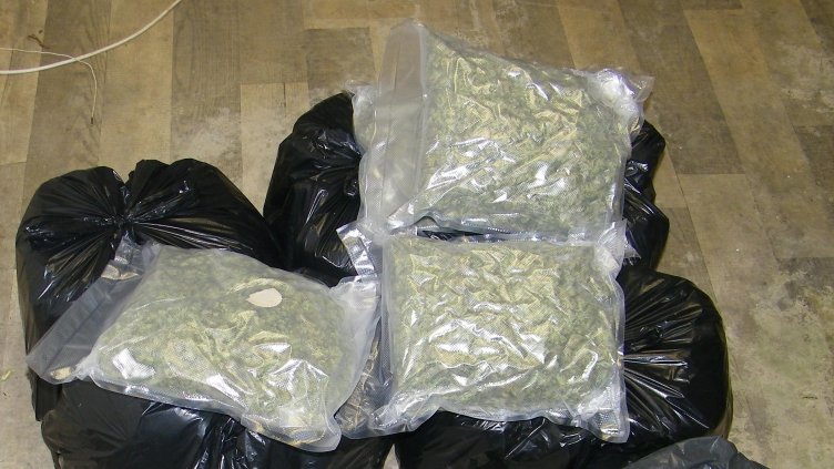 Снимка: МВР