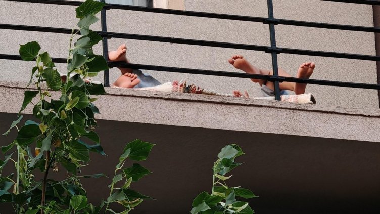 Снимка: архив, БГНЕС