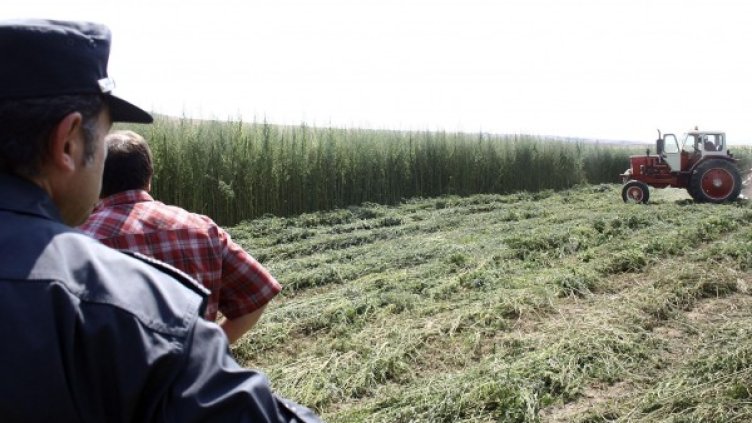 Снимка: архив, Булфото