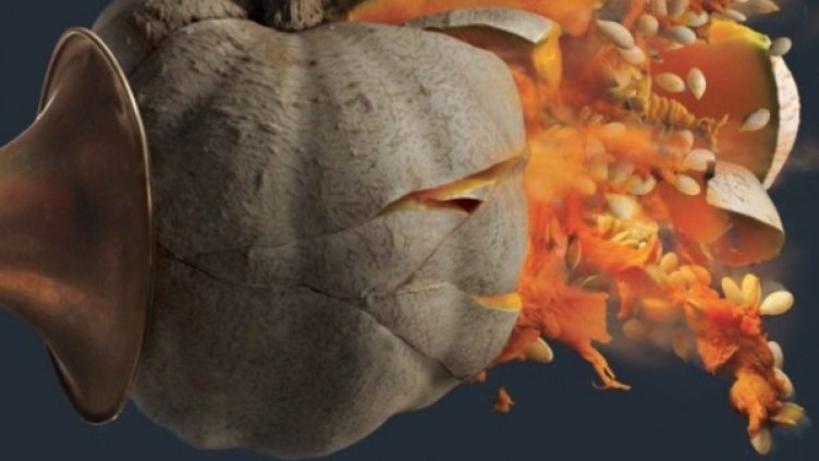 Снимка: Джаз плюс Фестивал