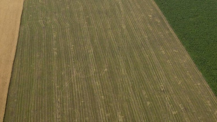 Земеделците не искали да стават "био". Снимка: архив Булфото