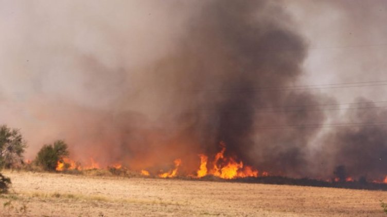 Огънят стигна до село Филипово. Снимка: Булфото