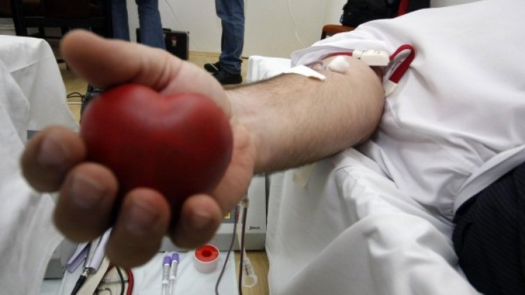 Снимка: Архив, Булфото