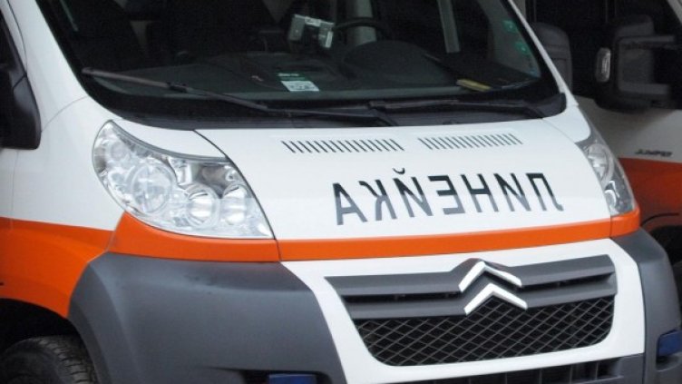 Снимка: Impact Press Group