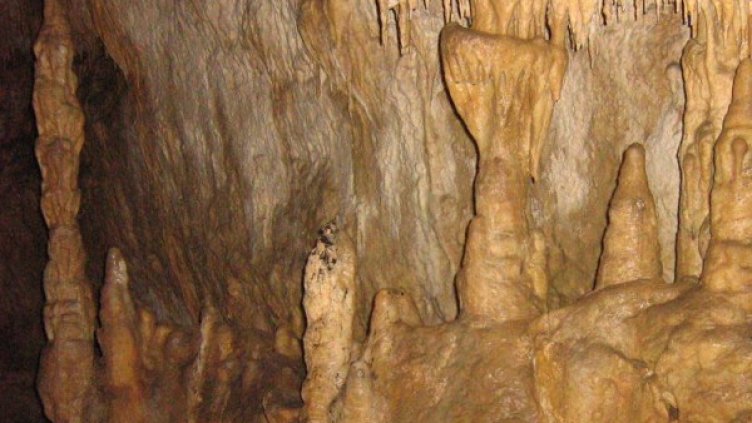 В пещерата Леденика. Снимка: Facebook