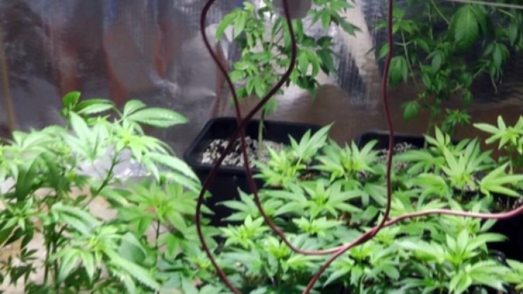 Снимка: МВР