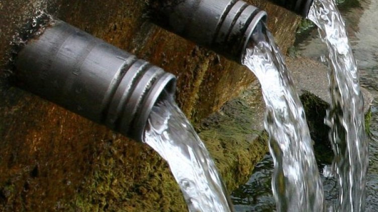 Снимка: Impact Press Group