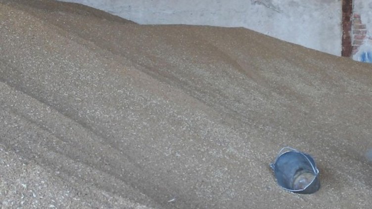 Мъжът откраднал пшеницата от склад. Снимка: архив Булфото