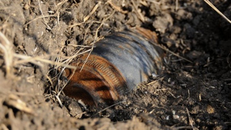 Снимка: Архив Булфото