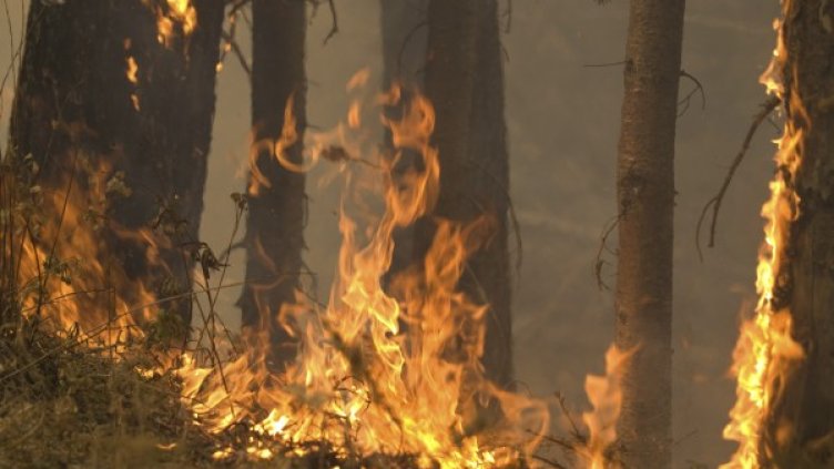 Ал Кайда е преминала към нова стратегия на "хилядите убождания".  Снимка: архив, Reuters