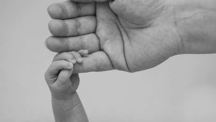 Снимка: Pixabay/ Grey85