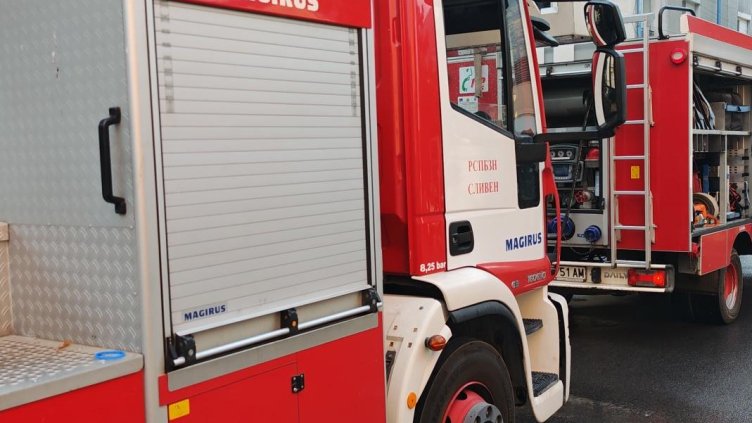 Снимка: архив, БГНЕС