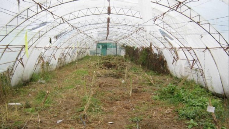 Снимка: Булфото