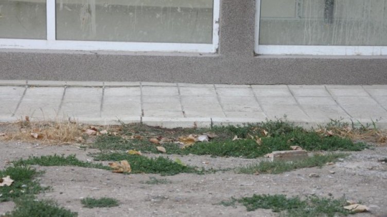 Снимка: Булфото