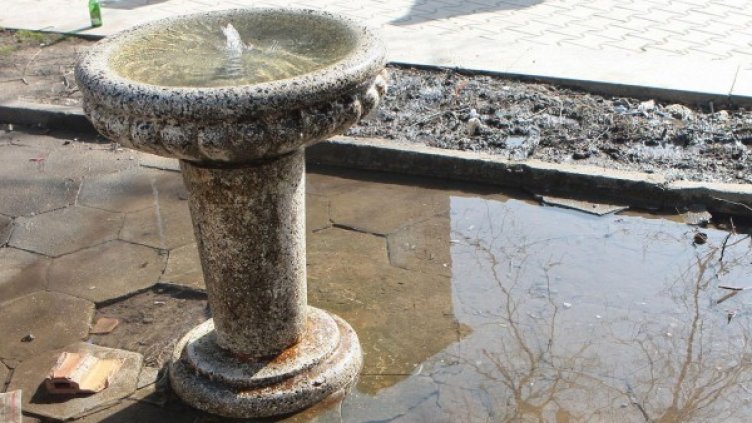 Снимка: Булфото