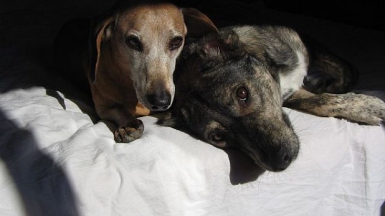 Снимка: Личен архив