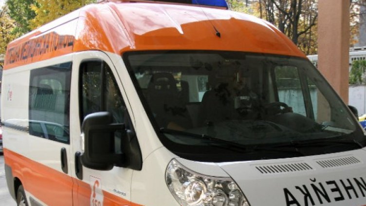 Снимка: Impact Press Group