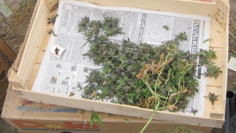 Снимка: архив Булфото