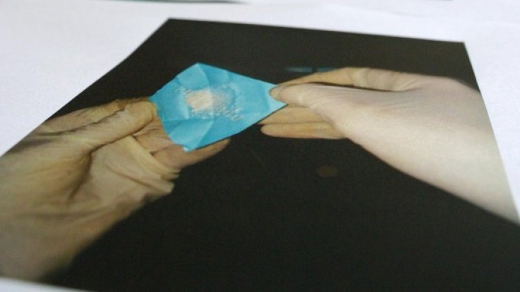 Снимка: Impact Press Group