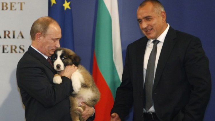 Борисов подари куче на Путин при посещението му през 2010 г. у нас. Снимка: архив, Reuters