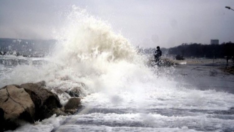 Снимка: Архив Булфото
