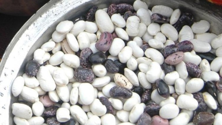 Снимка: архив, Булфото