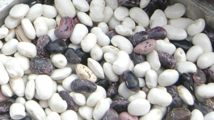 ДСБ подготвя сигнал до ОЛАФ, прокуратурата и Комисията за защита на конкуренцията по случая със скандала с храните за бедни. Снимка: архив, Булфото