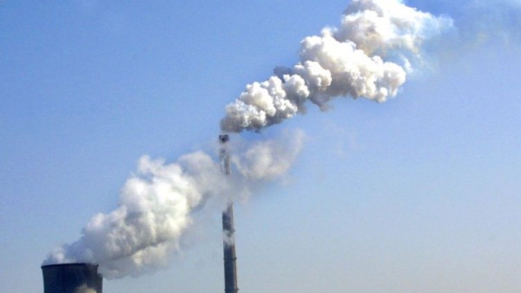 Снимка: Булфото