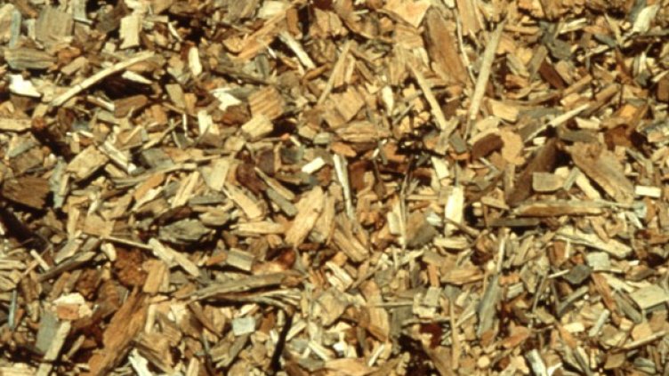 Снимка: Европейска комисия