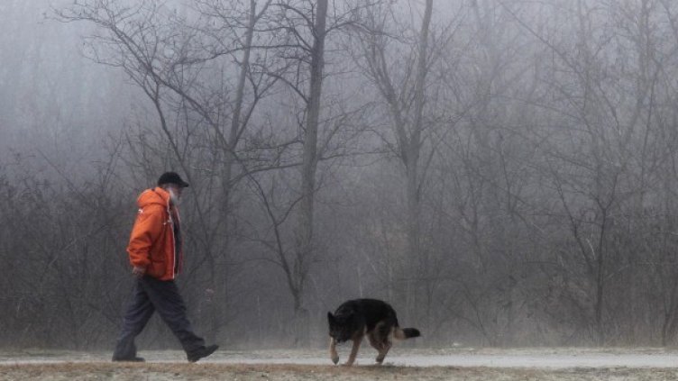 Снимка: Bulphoto