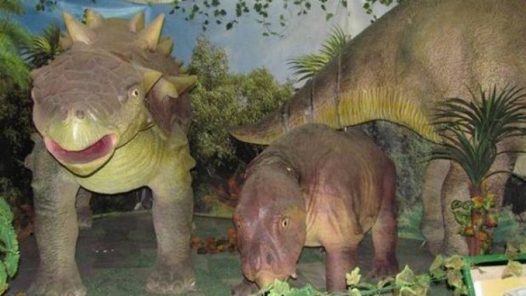 Снимка: НДК