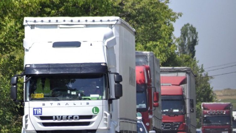 Снимка: БулФото - архив