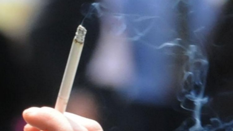 Снимка: Архив Булфото