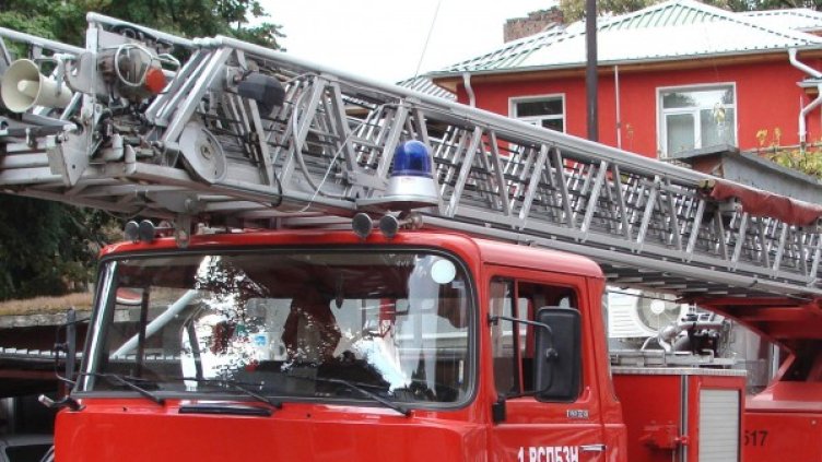 Снимка: Архив Булфото