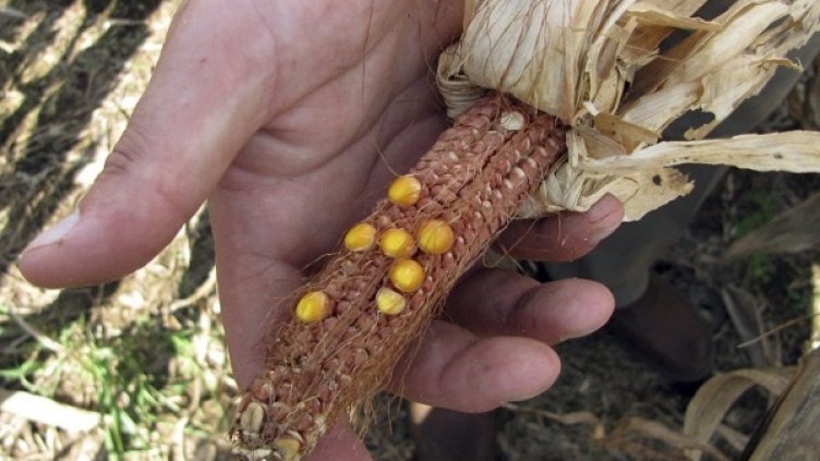 Снимка: архив Reuters