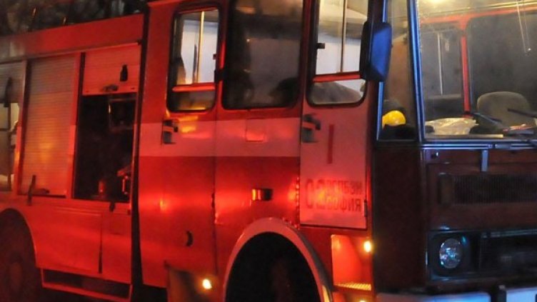 Снимка: архив, Булфото