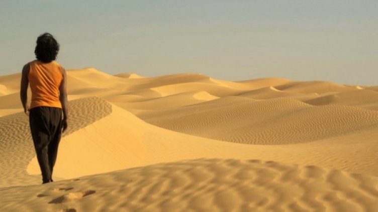 Снимка: "Позор" ООД